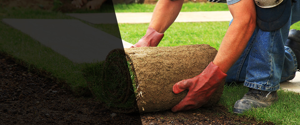 Rockvale Landscapers